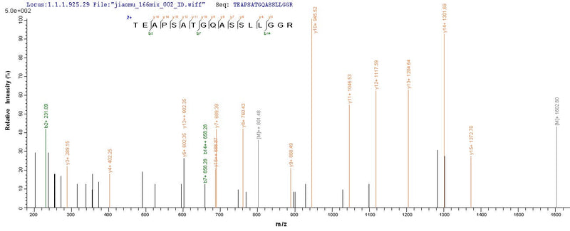Based on the SEQUEST from database of Yeast host and target protein, the LC-MS/MS Analysis result of this product could indicate that this peptide derived from Yeast-expressed Homo sapiens (Human) COL18A1.Recombinant Human Collagen alpha-1 (COL18A1) Protein (His)