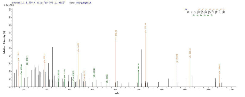 Based on the SEQUEST from database of Yeast host and target protein, the LC-MS/MS Analysis result of this product could indicate that this peptide derived from Yeast-expressed Rattus norvegicus (Rat) Crygb.