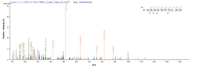 Based on the SEQUEST from database of Yeast host and target protein, the LC-MS/MS Analysis result of this product could indicate that this peptide derived from Yeast-expressed Homo sapiens (Human) DCD.Recombinant Human Dermcidin (DCD) Protein (His)