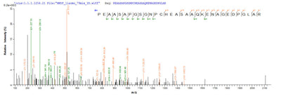 Based on the SEQUEST from database of Yeast host and target protein, the LC-MS/MS Analysis result of this product could indicate that this peptide derived from Yeast-expressed Homo sapiens (Human) DCD.Recombinant Human Dermcidin (DCD) Protein (His)