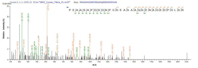 Based on the SEQUEST from database of Yeast host and target protein, the LC-MS/MS Analysis result of this product could indicate that this peptide derived from Yeast-expressed Homo sapiens (Human) DCD.Recombinant Human Dermcidin (DCD) Protein (His)