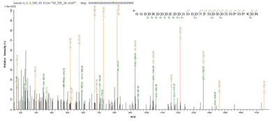 Based on the SEQUEST from database of Yeast host and target protein, the LC-MS/MS Analysis result of this product could indicate that this peptide derived from Yeast-expressed Homo sapiens (Human) DMP1.Recombinant Human Dentin Matrix Acidic Phosphoprotein 1 (DMP1) Protein (His)