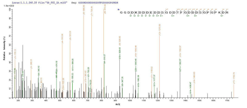 Based on the SEQUEST from database of Yeast host and target protein, the LC-MS/MS Analysis result of this product could indicate that this peptide derived from Yeast-expressed Homo sapiens (Human) DMP1.Recombinant Human Dentin Matrix Acidic Phosphoprotein 1 (DMP1) Protein (His)