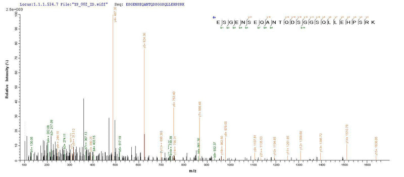 Based on the SEQUEST from database of Yeast host and target protein, the LC-MS/MS Analysis result of this product could indicate that this peptide derived from Yeast-expressed Homo sapiens (Human) DMP1.Recombinant Human Dentin Matrix Acidic Phosphoprotein 1 (DMP1) Protein (His)