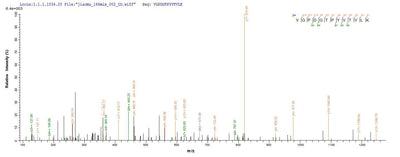 Based on the SEQUEST from database of Yeast host and target protein, the LC-MS/MS Analysis result of this product could indicate that this peptide derived from Yeast-expressed Homo sapiens (Human) FGFR3.Recombinant Human Fibroblast Growth Factor Receptor 3 (FGFR3) Protein (His)