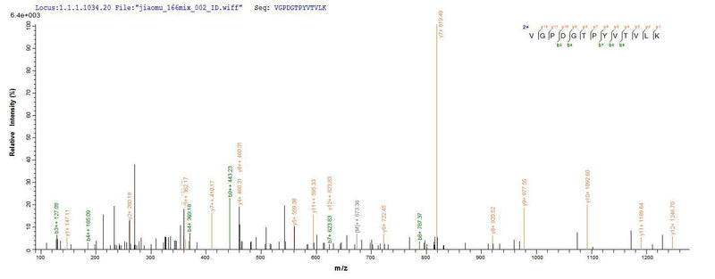 Based on the SEQUEST from database of Yeast host and target protein, the LC-MS/MS Analysis result of this product could indicate that this peptide derived from Yeast-expressed Homo sapiens (Human) FGFR3.Recombinant Human Fibroblast Growth Factor Receptor 3 (FGFR3) Protein (His)