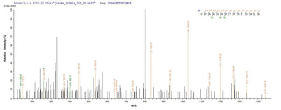 Based on the SEQUEST from database of Yeast host and target protein, the LC-MS/MS Analysis result of this product could indicate that this peptide derived from Yeast-expressed Homo sapiens (Human) FGFR3.Recombinant Human Fibroblast Growth Factor Receptor 3 (FGFR3) Protein (His)