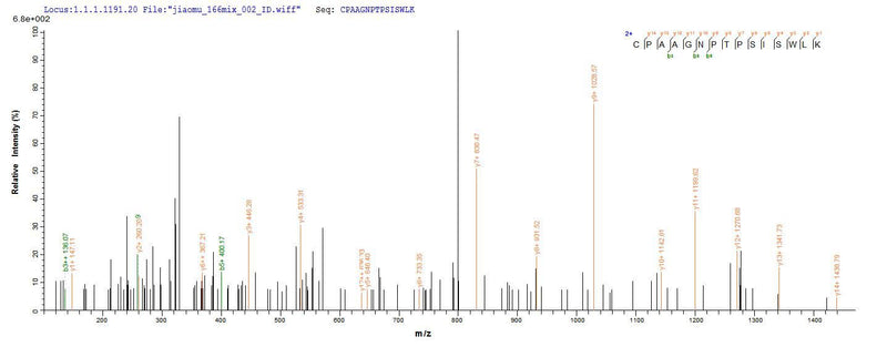 Based on the SEQUEST from database of Yeast host and target protein, the LC-MS/MS Analysis result of this product could indicate that this peptide derived from Yeast-expressed Homo sapiens (Human) FGFR3.Recombinant Human Fibroblast Growth Factor Receptor 3 (FGFR3) Protein (His)