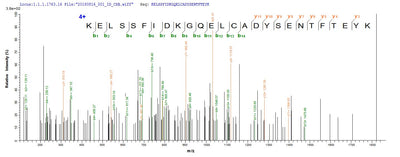 Based on the SEQUEST from database of Yeast host and target protein, the LC-MS/MS Analysis result of this product could indicate that this peptide derived from Yeast-expressed Homo sapiens (Human) GC.Recombinant Human Vitamin D-Binding Protein (GC) Protein (His-SUMOSTAR)