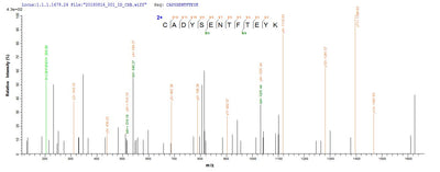 Based on the SEQUEST from database of Yeast host and target protein, the LC-MS/MS Analysis result of this product could indicate that this peptide derived from Yeast-expressed Homo sapiens (Human) GC.Recombinant Human Vitamin D-Binding Protein (GC) Protein (His-SUMOSTAR)