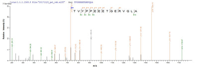 Based on the SEQUEST from database of Yeast host and target protein, the LC-MS/MS Analysis result of this product could indicate that this peptide derived from Yeast-expressed Homo sapiens (Human) GYPA GPA.Recombinant Human Glycophorin (GYPA) Protein (His)
