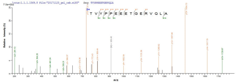 Based on the SEQUEST from database of Yeast host and target protein, the LC-MS/MS Analysis result of this product could indicate that this peptide derived from Yeast-expressed Homo sapiens (Human) GYPA GPA.Recombinant Human Glycophorin (GYPA) Protein (His)