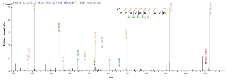 Based on the SEQUEST from database of Yeast host and target protein, the LC-MS/MS Analysis result of this product could indicate that this peptide derived from Yeast-expressed Homo sapiens (Human) GYPA GPA.Recombinant Human Glycophorin (GYPA) Protein (His)