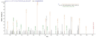 Based on the SEQUEST from database of Yeast host and target protein, the LC-MS/MS Analysis result of this product could indicate that this peptide derived from Yeast-expressed Mus musculus (Mouse) Hmox1.Recombinant Mouse Heme Oxygenase 1 (HMOX1) Protein (His)
