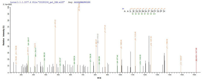 Based on the SEQUEST from database of Yeast host and target protein, the LC-MS/MS Analysis result of this product could indicate that this peptide derived from Yeast-expressed Mus musculus (Mouse) Hmox1.Recombinant Mouse Heme Oxygenase 1 (HMOX1) Protein (His)