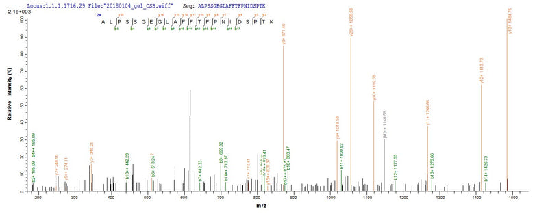 Based on the SEQUEST from database of Yeast host and target protein, the LC-MS/MS Analysis result of this product could indicate that this peptide derived from Yeast-expressed Mus musculus (Mouse) Hmox1.Recombinant Mouse Heme Oxygenase 1 (HMOX1) Protein (His)