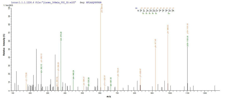 Based on the SEQUEST from database of Yeast host and target protein, the LC-MS/MS Analysis result of this product could indicate that this peptide derived from Yeast-expressed Rattus norvegicus (Rat) Hsd17b10.Recombinant Rat 3-Hydroxyacyl-Coa Dehydrogenase Type-2 (HSD17B10) Protein (His)