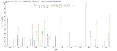 Based on the SEQUEST from database of Yeast host and target protein, the LC-MS/MS Analysis result of this product could indicate that this peptide derived from Yeast-expressed Rattus norvegicus (Rat) Hsd17b10.Recombinant Rat 3-Hydroxyacyl-Coa Dehydrogenase Type-2 (HSD17B10) Protein (His)