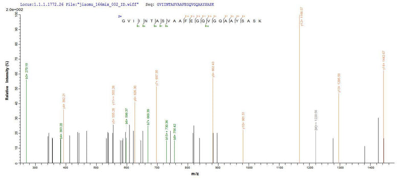 Based on the SEQUEST from database of Yeast host and target protein, the LC-MS/MS Analysis result of this product could indicate that this peptide derived from Yeast-expressed Rattus norvegicus (Rat) Hsd17b10.Recombinant Rat 3-Hydroxyacyl-Coa Dehydrogenase Type-2 (HSD17B10) Protein (His)
