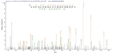 Based on the SEQUEST from database of Yeast host and target protein, the LC-MS/MS Analysis result of this product could indicate that this peptide derived from Yeast-expressed Homo sapiens (Human) IDO1.