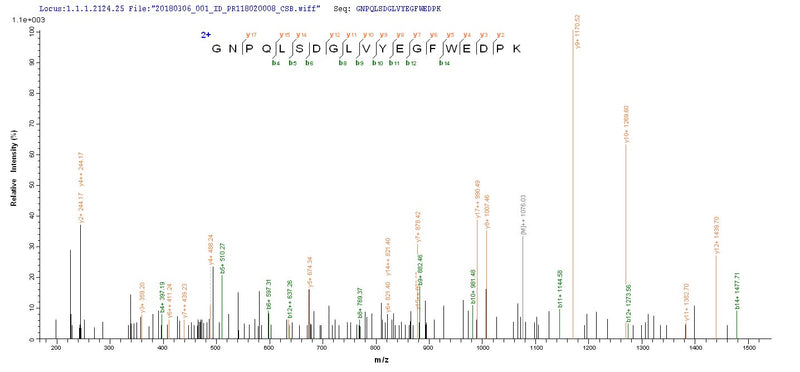 Based on the SEQUEST from database of Yeast host and target protein, the LC-MS/MS Analysis result of this product could indicate that this peptide derived from Yeast-expressed Homo sapiens (Human) IDO1.