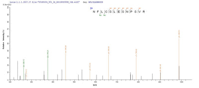 Based on the SEQUEST from database of Yeast host and target protein, the LC-MS/MS Analysis result of this product could indicate that this peptide derived from Yeast-expressed Homo sapiens (Human) IDO1.