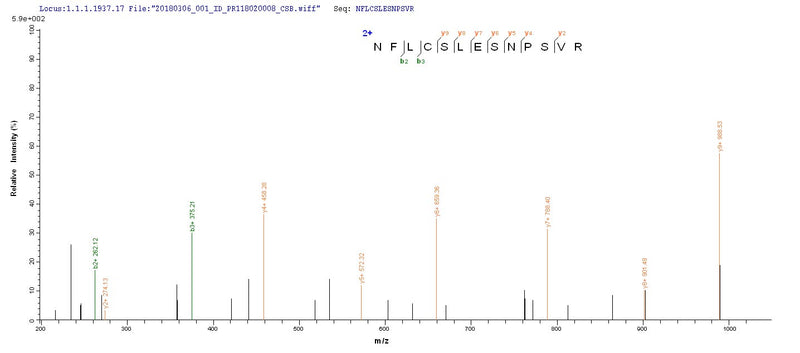 Based on the SEQUEST from database of Yeast host and target protein, the LC-MS/MS Analysis result of this product could indicate that this peptide derived from Yeast-expressed Homo sapiens (Human) IDO1.