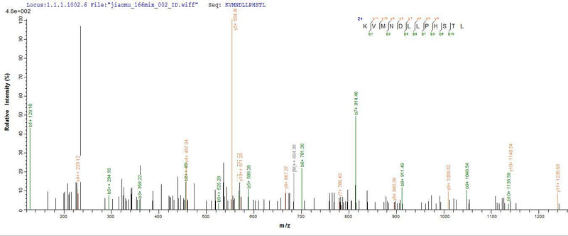 Based on the SEQUEST from database of Yeast host and target protein, the LC-MS/MS Analysis result of this product could indicate that this peptide derived from Yeast-expressed Marmota monax (Woodchuck) IFNG.Recombinant Marmota Monax Interferon Gamma (IFNG) Protein (His)
