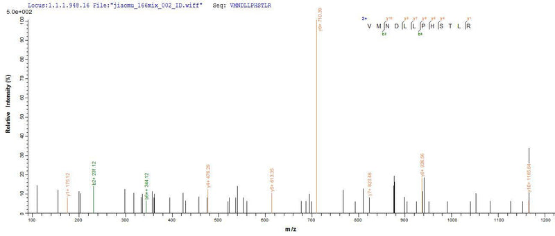 Based on the SEQUEST from database of Yeast host and target protein, the LC-MS/MS Analysis result of this product could indicate that this peptide derived from Yeast-expressed Marmota monax (Woodchuck) IFNG.Recombinant Marmota Monax Interferon Gamma (IFNG) Protein (His)