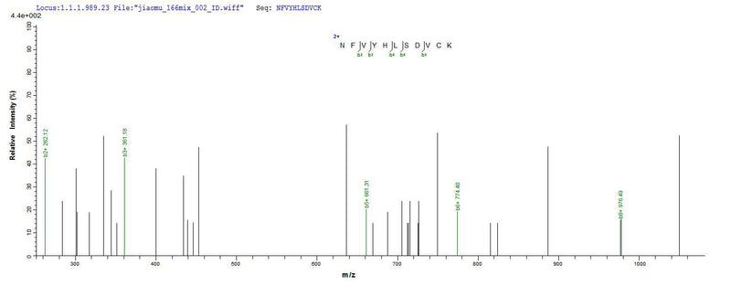 Based on the SEQUEST from database of Yeast host and target protein, the LC-MS/MS Analysis result of this product could indicate that this peptide derived from Yeast-expressed Mus musculus (Mouse) Jchain.Recombinant Mouse Immunoglobulin J Chain (JCHAIN) Protein (His)