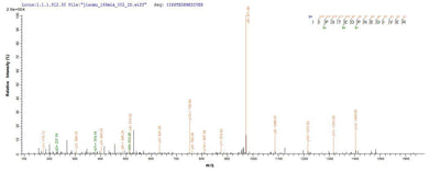 Based on the SEQUEST from database of Yeast host and target protein, the LC-MS/MS Analysis result of this product could indicate that this peptide derived from Yeast-expressed Mus musculus (Mouse) Jchain.Recombinant Mouse Immunoglobulin J Chain (JCHAIN) Protein (His)