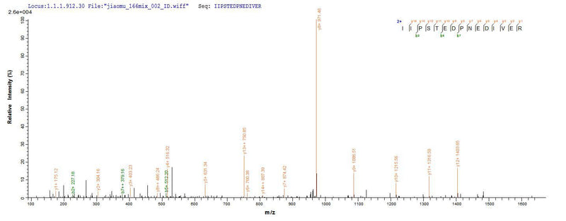 Based on the SEQUEST from database of Yeast host and target protein, the LC-MS/MS Analysis result of this product could indicate that this peptide derived from Yeast-expressed Mus musculus (Mouse) Jchain.Recombinant Mouse Immunoglobulin J Chain (JCHAIN) Protein (His)