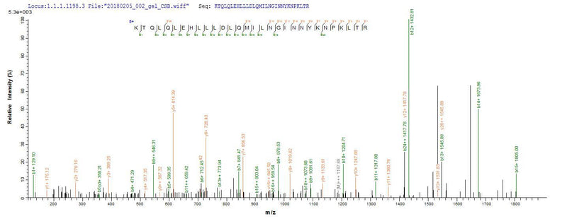 Based on the SEQUEST from database of Yeast host and target protein, the LC-MS/MS Analysis result of this product could indicate that this peptide derived from Yeast-expressed Homo sapiens (Human) IL2.