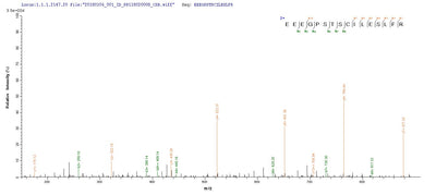 Based on the SEQUEST from database of Yeast host and target protein, the LC-MS/MS Analysis result of this product could indicate that this peptide derived from Yeast-expressed Homo sapiens (Human) MAGEA1.Recombinant Human Melanoma-Associated Antigen 1 (MAGEA1) Protein (His)