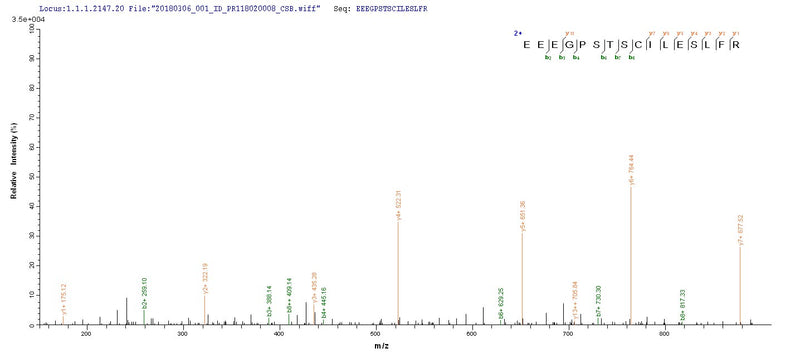 Based on the SEQUEST from database of Yeast host and target protein, the LC-MS/MS Analysis result of this product could indicate that this peptide derived from Yeast-expressed Homo sapiens (Human) MAGEA1.Recombinant Human Melanoma-Associated Antigen 1 (MAGEA1) Protein (His)