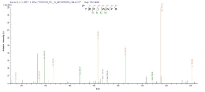 Based on the SEQUEST from database of Yeast host and target protein, the LC-MS/MS Analysis result of this product could indicate that this peptide derived from Yeast-expressed Homo sapiens (Human) MAGEA1.Recombinant Human Melanoma-Associated Antigen 1 (MAGEA1) Protein (His)