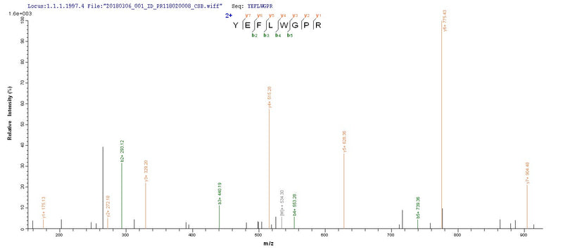 Based on the SEQUEST from database of Yeast host and target protein, the LC-MS/MS Analysis result of this product could indicate that this peptide derived from Yeast-expressed Homo sapiens (Human) MAGEA1.Recombinant Human Melanoma-Associated Antigen 1 (MAGEA1) Protein (His)