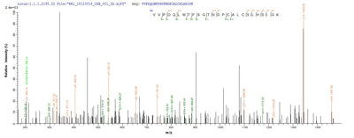 Based on the SEQUEST from database of Yeast host and target protein, the LC-MS/MS Analysis result of this product could indicate that this peptide derived from Yeast-expressed Mus musculus (Mouse) Mif.