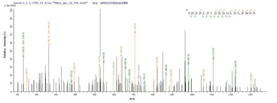 Based on the SEQUEST from database of Yeast host and target protein, the LC-MS/MS Analysis result of this product could indicate that this peptide derived from Yeast-expressed Homo sapiens (Human) MME.Recombinant Human Neprilysin (MME) Protein (His)