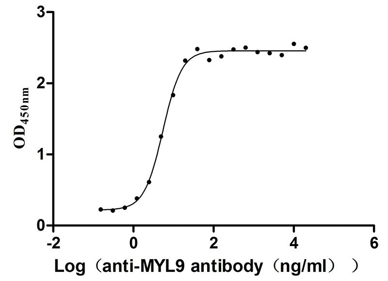 Activity Measured by its binding ability in a functional ELISA. Immobilized Human MYL9 at 2μg/mL can bind Anti-MYL9 recombinant antibody ，the EC 50 is 4.628-6.430 ng/mL. Biological Activity AssayRecombinant Human Myosin Regulatory Light Polypeptide 9 (MYL9) Protein (His), Active
