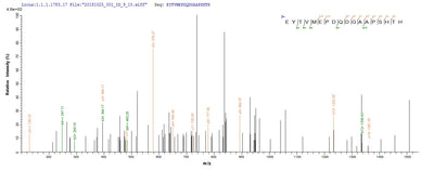 Based on the SEQUEST from database of Yeast host and target protein, the LC-MS/MS Analysis result of this product could indicate that this peptide derived from Yeast-expressed Mus musculus (Mouse) Nid1.Recombinant Mouse Nidogen-1 (NID1) Protein (His)