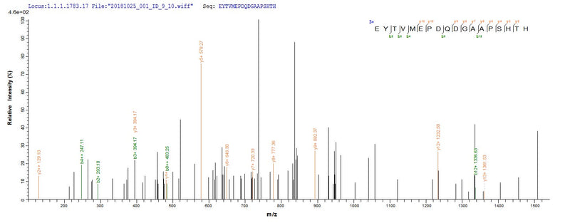 Based on the SEQUEST from database of Yeast host and target protein, the LC-MS/MS Analysis result of this product could indicate that this peptide derived from Yeast-expressed Mus musculus (Mouse) Nid1.Recombinant Mouse Nidogen-1 (NID1) Protein (His)