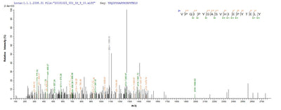 Based on the SEQUEST from database of Yeast host and target protein, the LC-MS/MS Analysis result of this product could indicate that this peptide derived from Yeast-expressed Mus musculus (Mouse) Nid1.Recombinant Mouse Nidogen-1 (NID1) Protein (His)