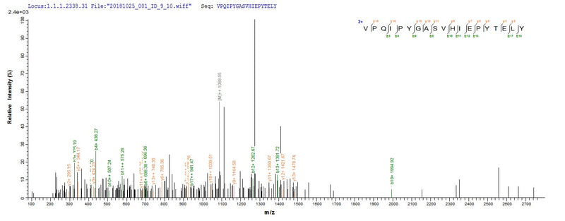 Based on the SEQUEST from database of Yeast host and target protein, the LC-MS/MS Analysis result of this product could indicate that this peptide derived from Yeast-expressed Mus musculus (Mouse) Nid1.Recombinant Mouse Nidogen-1 (NID1) Protein (His)