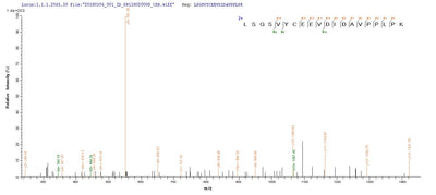Based on the SEQUEST from database of Yeast host and target protein, the LC-MS/MS Analysis result of this product could indicate that this peptide derived from Yeast-expressed Homo sapiens (Human) OGN.Recombinant Human Mimecan (OGN) Protein (His)