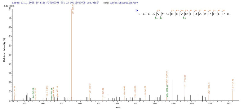 Based on the SEQUEST from database of Yeast host and target protein, the LC-MS/MS Analysis result of this product could indicate that this peptide derived from Yeast-expressed Homo sapiens (Human) OGN.Recombinant Human Mimecan (OGN) Protein (His)