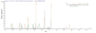 Based on the SEQUEST from database of Yeast host and target protein, the LC-MS/MS Analysis result of this product could indicate that this peptide derived from Yeast-expressed Homo sapiens (Human) PI3.Recombinant Human Elafin (PI3) Protein (His)