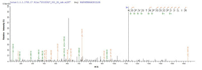 Based on the SEQUEST from database of Yeast host and target protein, the LC-MS/MS Analysis result of this product could indicate that this peptide derived from Yeast-expressed Homo sapiens (Human) PI3.Recombinant Human Elafin (PI3) Protein (His)