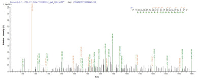 Based on the SEQUEST from database of Yeast host and target protein, the LC-MS/MS Analysis result of this product could indicate that this peptide derived from Yeast-expressed Canis lupus familiaris (Dog) (Canis familiaris) PNLIPRP1.