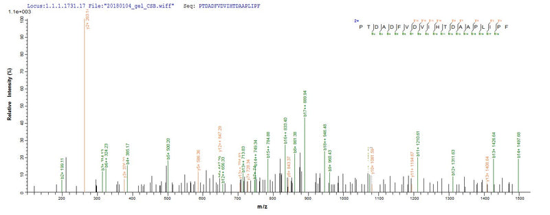 Based on the SEQUEST from database of Yeast host and target protein, the LC-MS/MS Analysis result of this product could indicate that this peptide derived from Yeast-expressed Canis lupus familiaris (Dog) (Canis familiaris) PNLIPRP1.